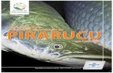 Manual de reprodução pirarucu (piscicultura)