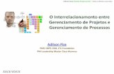 Palestra - Interrelacionamento Gerenciamento de Projetos e Processos V3p