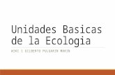 Unidades basicas de la ecologia