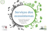 J2   serviço dos ecossistemas