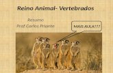 Zoologia dos vertebrados-resumo