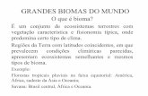 Biomas mundias 2