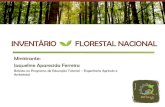 Inventário Florestal Nacional