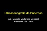 Doenças pancreáticas avaliadas pelo ultrassom