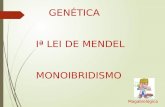 Genética1ªlei  - Monoibridismo -