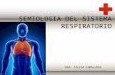 Semiologia del sistema respiratorio