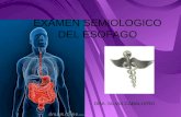 Examen semilogico del esofago