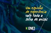 Apresentação - Unijr ENEJ 2017