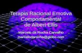 Terapia Racional Emotiva Comportamental: visão geral.