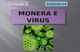 7 ano Reino Monera e vírus