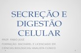 Secreção e digestão celular