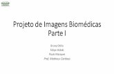 Projeto imagens biomédicas Parte I
