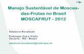 Manejo Sustentável de Moscas-das-Frutas no Brasil