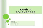 Sistemática vegetal (Família Solanaceae)