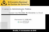 Fernando Coelho- mesa redonda "O campo da Administração Pública e o papel das Escolas de Governo no Brasil"