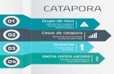 Catapora - Riscos, sintomas e vacina