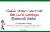Endocrinologia: Glândulas Adrenais e hormônios Corticosteroides.