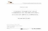 CENTRAL TÉRMICA DE CICLO COMBINADO DE 800 MW EM ...
