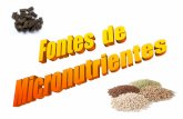 Fontes de Micronutrientes