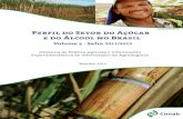 Perfil do Setor do Açúcar e do Álcool no Brasil Volume 5