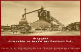 HISTORIA COMPANiA DE ACERO DEL PACkICO S.A.