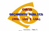 CURSO ORÇAMENTO PÚBLICO (PPA, LDO E LOA)