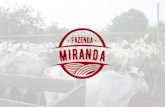 Fazenda Miranda