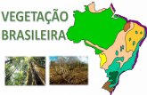 Vegetação do brasil
