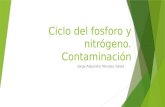 Ciclo del Fosforo y Nitrógeno - Contaminacion