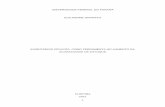 E - GUILHERME GRANATO.pdf