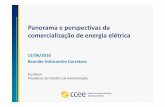 Panorama e perspectivas da comercialização de energia elétrica - Reunião Votorantim Corretora