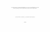 análise agronômica e econômica de sistemas de produção de milho