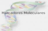Clase4 marcadores moleculares1