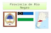 Provincia de Rio  Negro