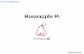 Conheça o Roseapple Pi - Computador de Placa ùnica