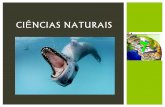 Ciências naturais 7   biodiversidade