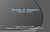 Projetos de Engenharia - Conceitos Básicos - Aragon Salvador