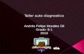 Taller autodiagnóstico (2)