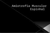 Amiotrofia Muscular Espinhal (AME) – revisão 2