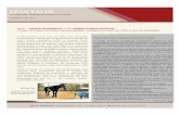 Newsletter CLT Janeiro de 2012