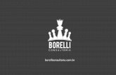 Borelli Consultoria (PDF)