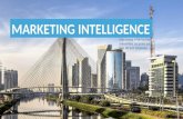 Serinews Marketing Intelligence