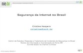 Segurança da Internet no Brasil