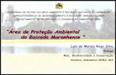 “Área de Proteção Ambiental da Baixada Maranhense ”