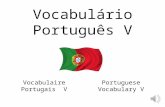 Vocabulário português v