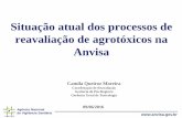 Situação atual dos processos de reavaliação de agrotóxicos na Anvisa