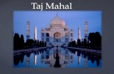 Pesquisa Taj Mahal