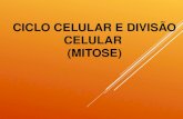 2016 Frente 1 módulo 4 ciclo e divisao celular mitose
