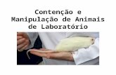 1 contenção e manipulação de animais de laboratório