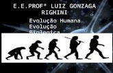 Evolução humana 3 C